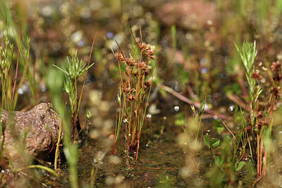BUITEN BEELD Foto: 441434