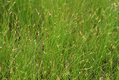 BUITEN BEELD Foto: 441435