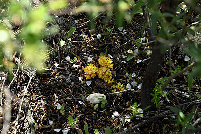 BUITEN BEELD Foto: 441436