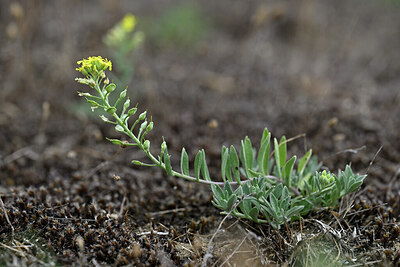 BUITEN BEELD Foto: 441447