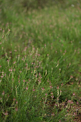BUITEN BEELD Foto: 441460