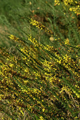 BUITEN BEELD Foto: 441484