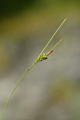 BUITEN BEELD Foto: 441493
