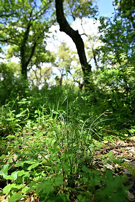 BUITEN BEELD Foto: 441503