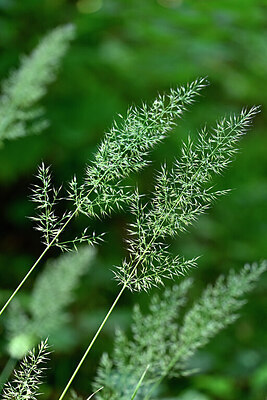 BUITEN BEELD Foto: 441506