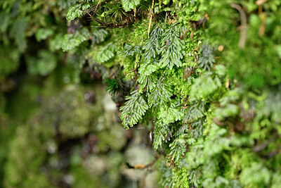 BUITEN BEELD Foto: 441512