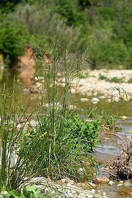 BUITEN BEELD Foto: 441518