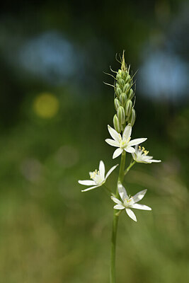 BUITEN BEELD Foto: 441531