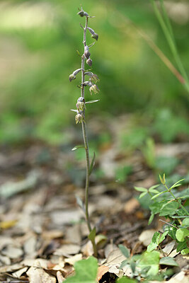 BUITEN BEELD Foto: 441539