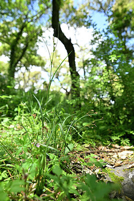BUITEN BEELD Foto: 441554