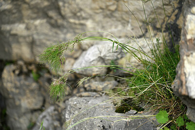 BUITEN BEELD Foto: 441558
