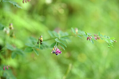 BUITEN BEELD Foto: 441563