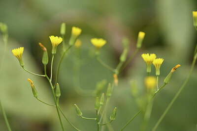 BUITEN BEELD Foto: 441578