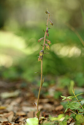 BUITEN BEELD Foto: 441587