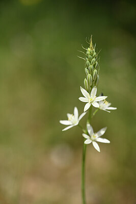 BUITEN BEELD Foto: 441594