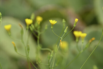 BUITEN BEELD Foto: 441598