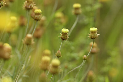 BUITEN BEELD Foto: 441601