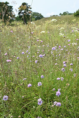 BUITEN BEELD Foto: 441603