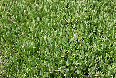 BUITEN BEELD Foto: 441616