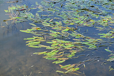 BUITEN BEELD Foto: 441621