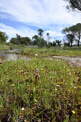 BUITEN BEELD Foto: 441637