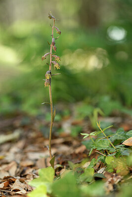 BUITEN BEELD Foto: 441640