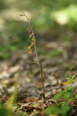 BUITEN BEELD Foto: 441641