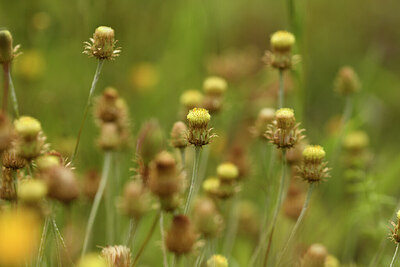 BUITEN BEELD Foto: 441673