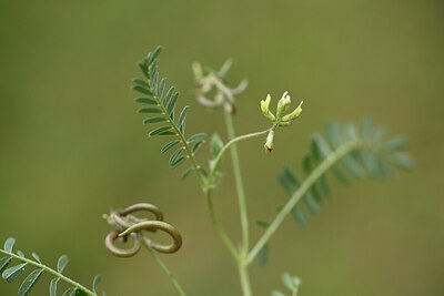 BUITEN BEELD Foto: 441683