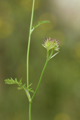 BUITEN BEELD Foto: 441687