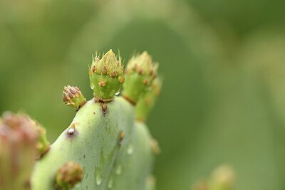 BUITEN BEELD Foto: 441699