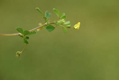 BUITEN BEELD Foto: 441705