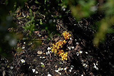 BUITEN BEELD Foto: 441708