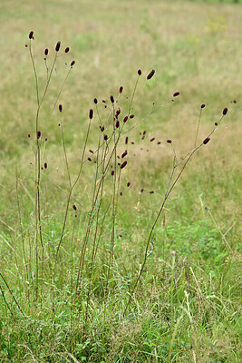 BUITEN BEELD Foto: 441710
