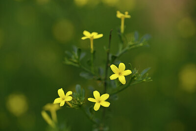 BUITEN BEELD Foto: 441720