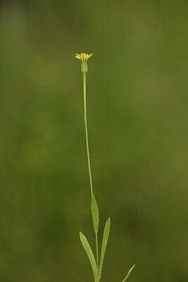 BUITEN BEELD Foto: 441721