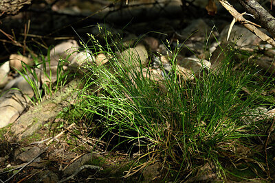 BUITEN BEELD Foto: 441722