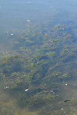 BUITEN BEELD Foto: 441724