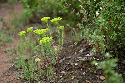BUITEN BEELD Foto: 441731