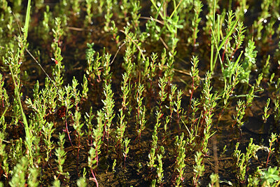 BUITEN BEELD Foto: 441733