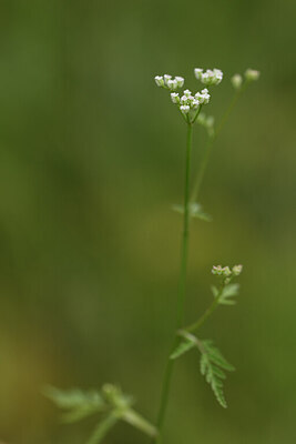 BUITEN BEELD Foto: 441745
