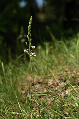 BUITEN BEELD Foto: 441752