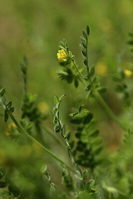 BUITEN BEELD Foto: 441766