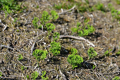 BUITEN BEELD Foto: 441767