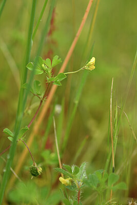 BUITEN BEELD Foto: 441794