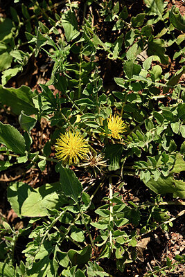 BUITEN BEELD Foto: 441796