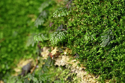BUITEN BEELD Foto: 441807