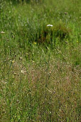 BUITEN BEELD Foto: 441813