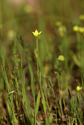 BUITEN BEELD Foto: 441831