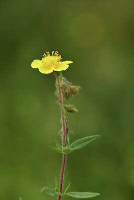 BUITEN BEELD Foto: 441844